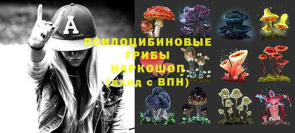 2c-b Горняк