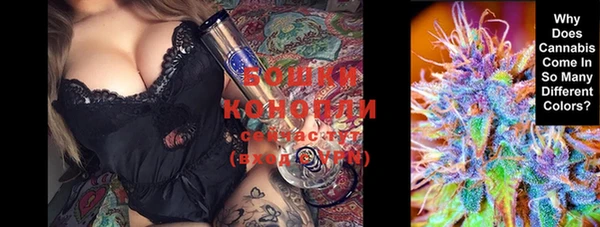 spice Вязники