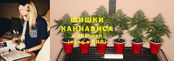 spice Вязники